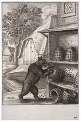 El oso y la miel